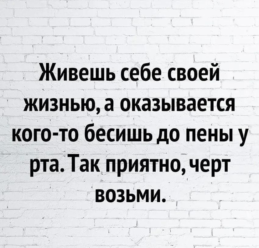 Живешь себе своей жизньюа оказывается кого то бесишь до пены у ртаТак приятночерт возьми