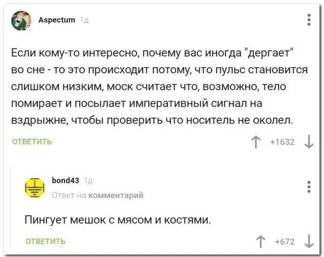 3 Если комуто интересно почему вас иногда дергает во сне то это происходит потому что пульс становится слишком низким моск считает что возможно тело помирает и посылает императивный сигнал на вздрыжне чтобы проверить что носитель не околеп птвггиги т 32 1 шит цлдьшншгмм Пингует мешок с мясом и костями Т