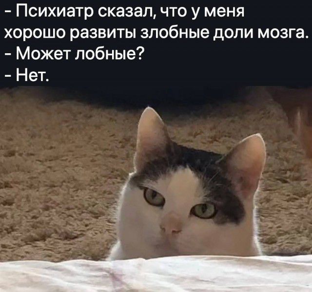 Психиатр сказалчто у меня хорошо развиты злобные доли мозга Может лобные Нет