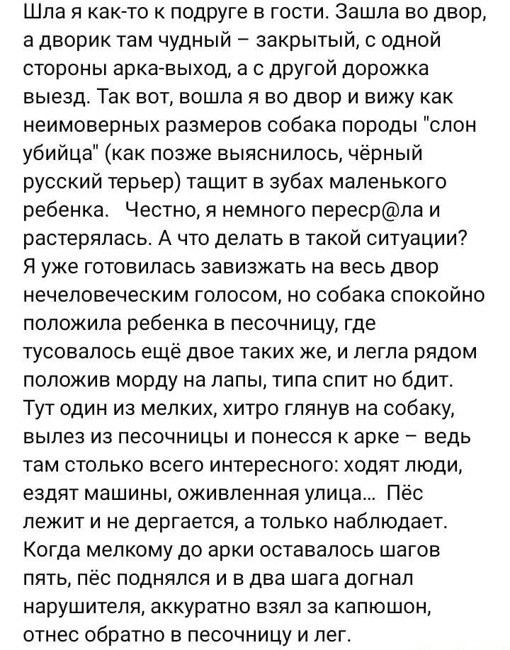 Шла я какгто подруге в гости Зашла во двор а дворик там чудный _ закрытый с одной стороны аркагвыход а с другой дорожка выезд Так вот вошла я во двор и вижу как неимоверных размеров собака породы слон убийца как позже выяснилось черный русский терьер тащит в зубах маленького ребенка Честно я немного пересрла и растерялась А что делать в такой ситуации Я уже готовилась завизжать на весь двор нечело