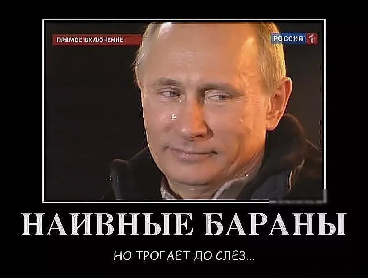 НАИВНЬШ БАРАНЬ1 но ТРОГАЕТ до слез