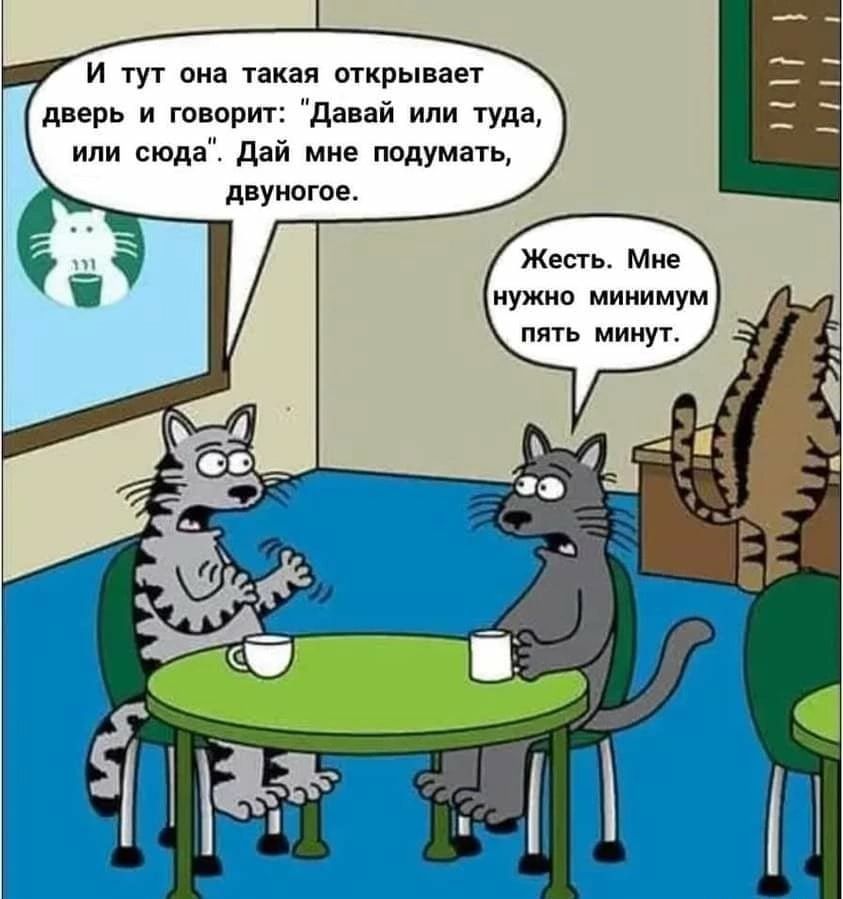 и тут она такая мкрывает дверь и шарит давай или туда или сюда Дай мне подумать двуногое Жесть Мне нужно минимум пять минут