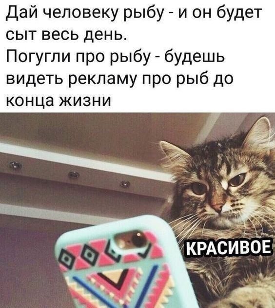 Дай человеку рыбу и он будет сыт весь день Погугли про рыбуг будешь видеть рекламу про рыб до конца ЖИЗНИ _ КРАёишіЕ