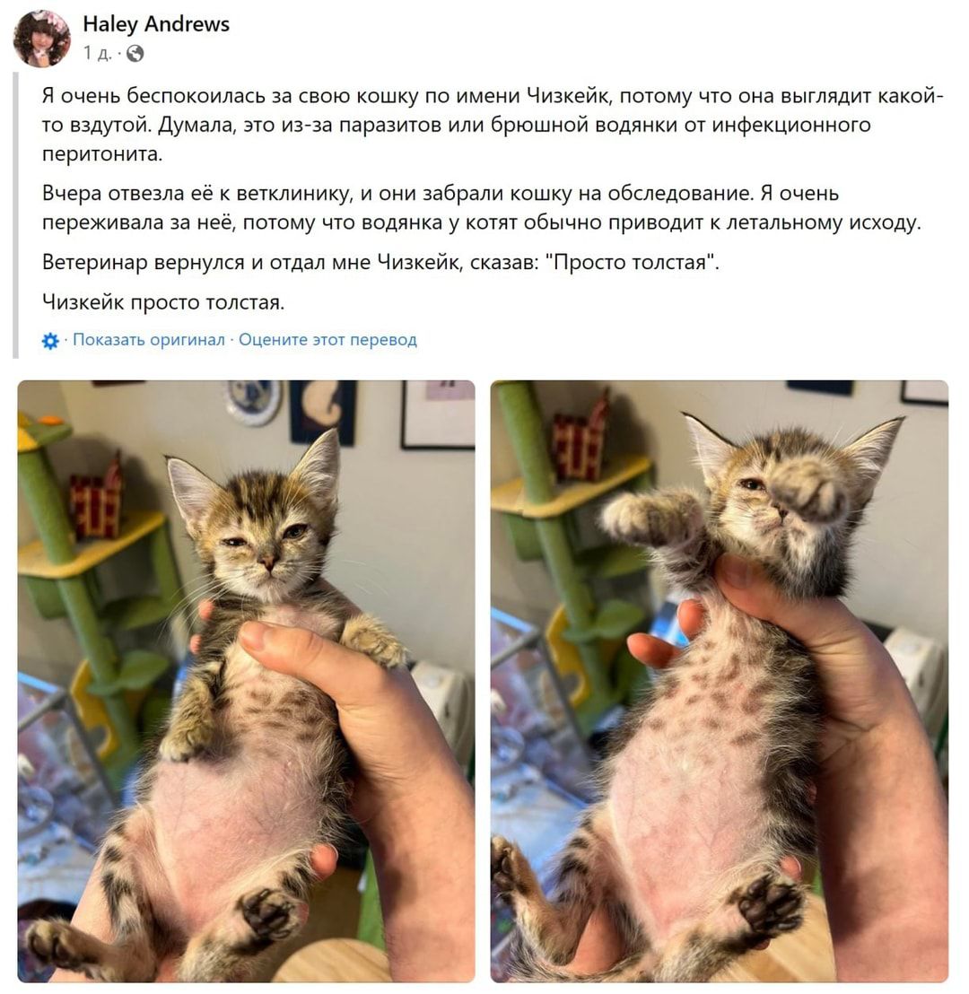 ш мы и покоиша ч пачиму вип шт какойг вдушй д тр ай щиимшивиищп перишишд ми цех шишкин ар вбивай дии я мршш чта мии ц и щ вне чщ тр Чижик