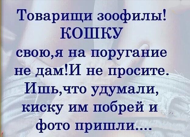 Товарищи зоофилы КОШКУ своюя на поругание не дамИ не просите Ишьчто удумали киску им побрей и фото пришли