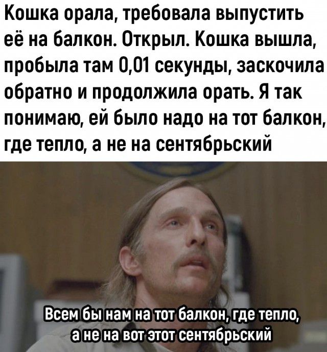 Кошка орала требовала выпустить её на балкон Открыл Кошка вышла пробьша там 001 секунды заскочила обратно и продолжила орать Я так понимаю ей было надо на тот балкон где тепло а не на сентябрьский Всем бы нам на тот балкон где тепло а не на вот этот сентябрьский