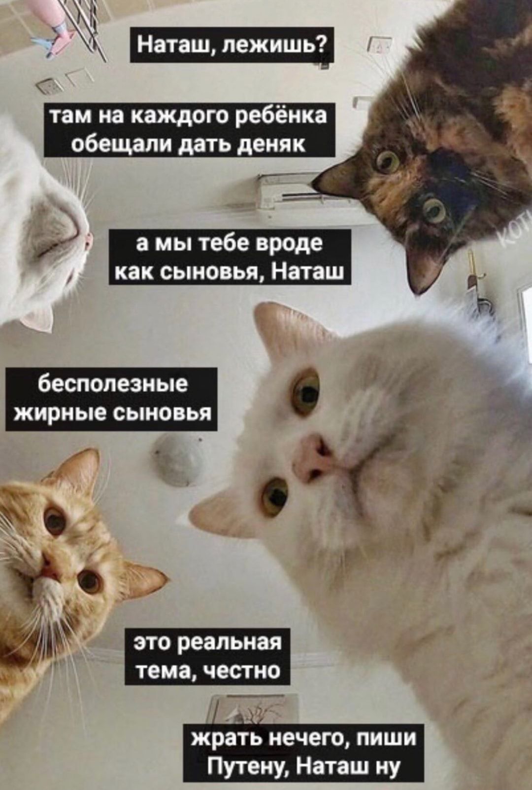 Наташпежишь им на кдждого ребёнка бещяпи дать деияк а мы тебе вроде как сыновья Наташ бесполезные ЖИРНЫЕ СБ ПЬП 51 это реальная тема част о жрать нечего ПИШИ ему Наташ иу