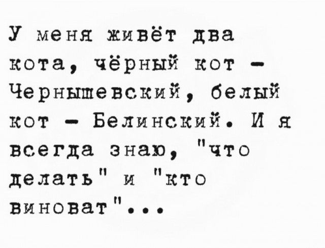 У меня живёт два кота чёрный кот Чернышевский белый кот Белинский И я всегда знаю что делать и кто Виноват