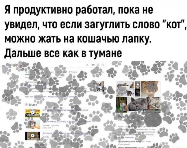я продуктивно работал пока не увидел что если загугпить слово кт можно жать на кошачью лапку дальше все как в тумане
