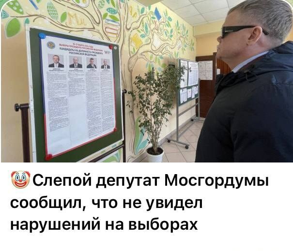 Слепой депутат Мосгордумы сообщил что не увидел нарушений на выборах
