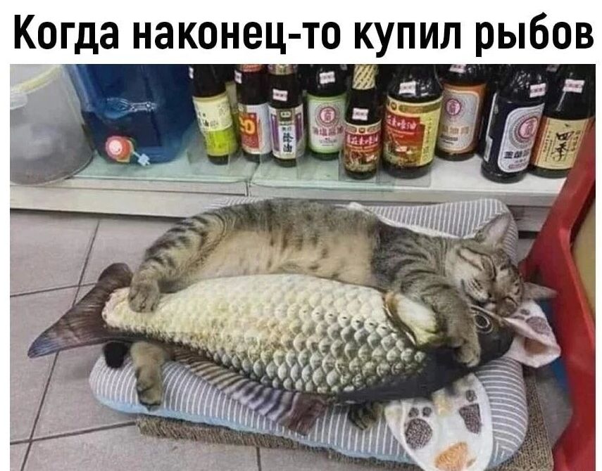 Когда наконец то купил рыбов