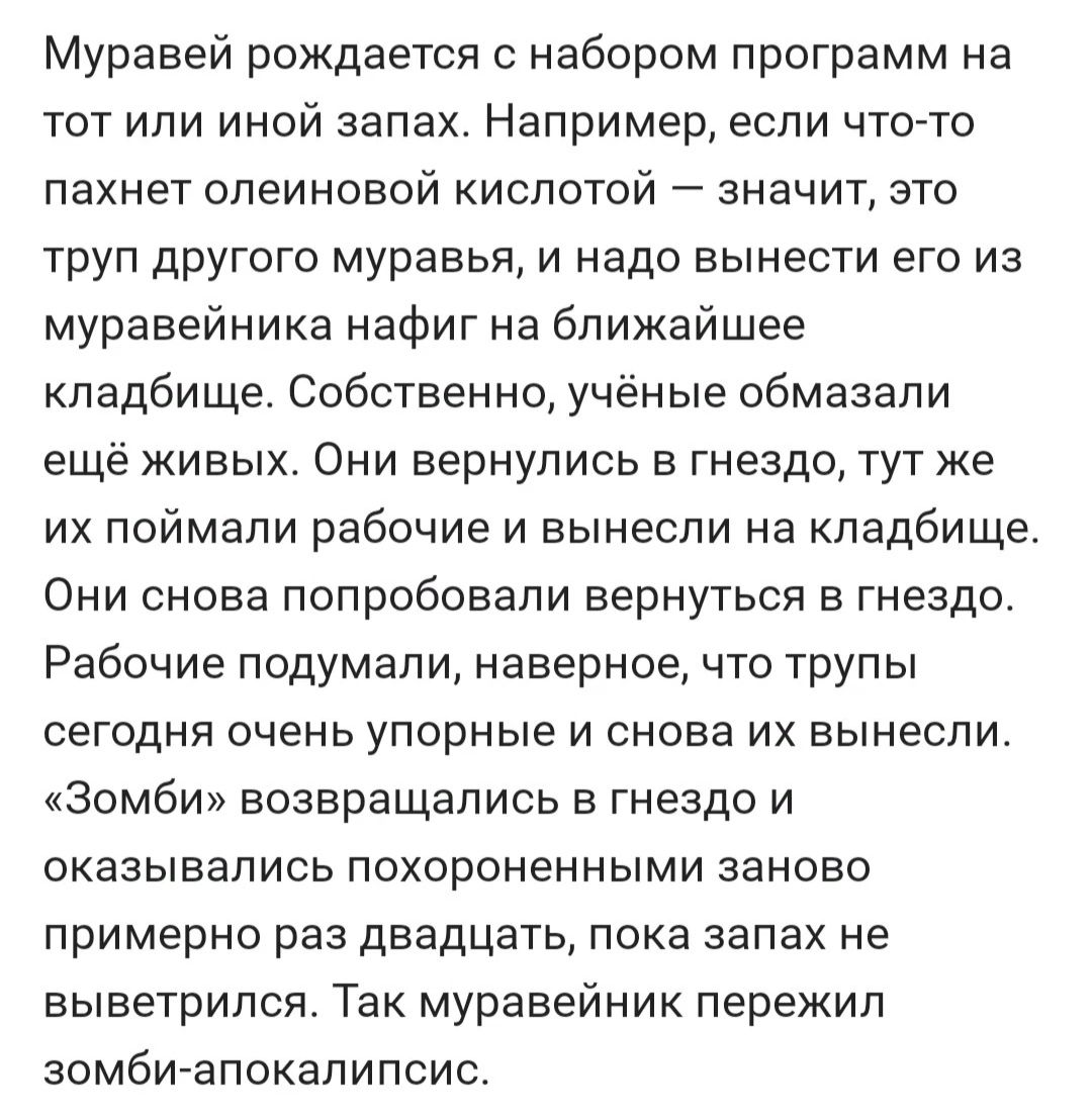 Муравей рождается с набором программ на тот или иной запах Например если что то пахнет олеиновой кислотой значит это труп другого муравья и надо вынести его из муравейника нафиг на ближайшее кладбище Собственно учёные обмазали ещё живых Они вернулись в гнездо тут же их поймали рабочие и вынесли на кладбище Они снова попробовали вернуться в гнездо Р