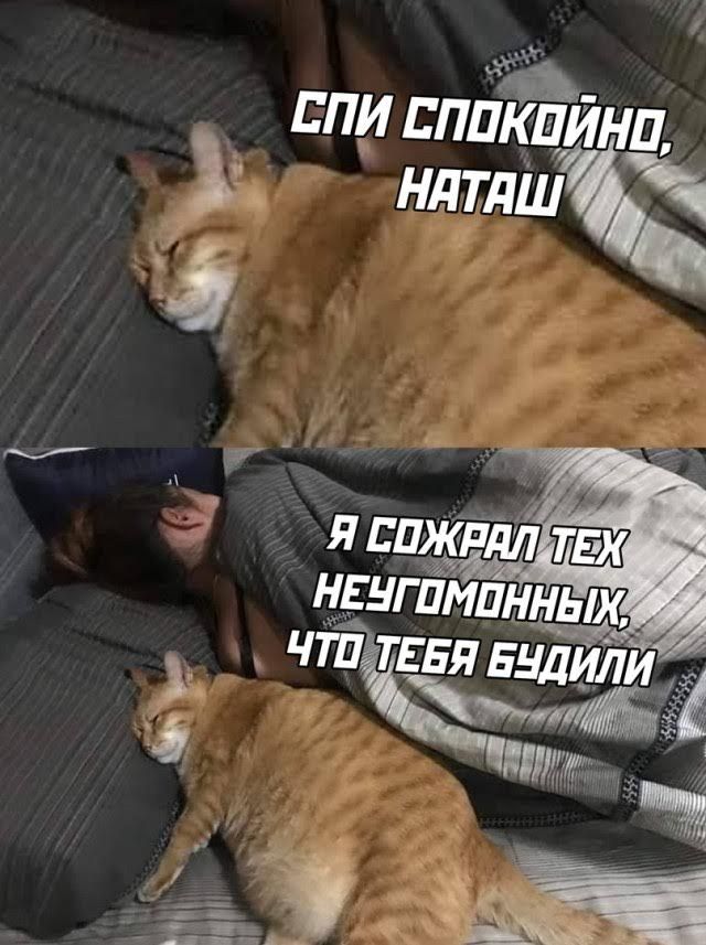 СПИ СПОКОЙнО