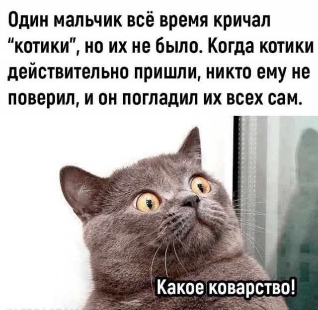 Один мальчик всё время кричал 