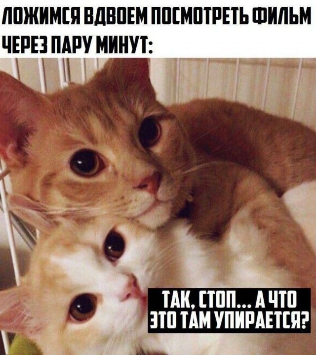 Ложимся вдвоем посмотреть фильм через пару минут: Так, стоп... а что это там упирается?