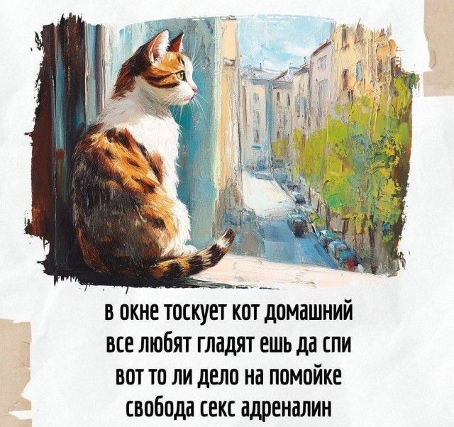 в окне тоскут кот домашний все любят гладят ешь да спи вот то ли дело на помойке свобода секс адреналин