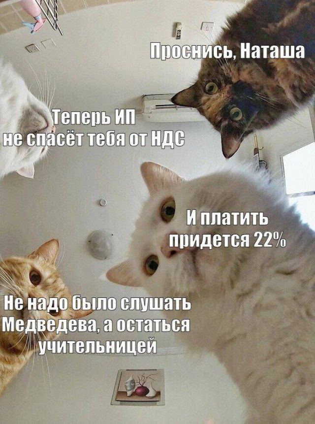 Проснись, Наташа
Теперь ИП
не спасёт тебя от НДС
И платить
придется 22%
Не надо было слушать
Медведева, а остаться
учительницей