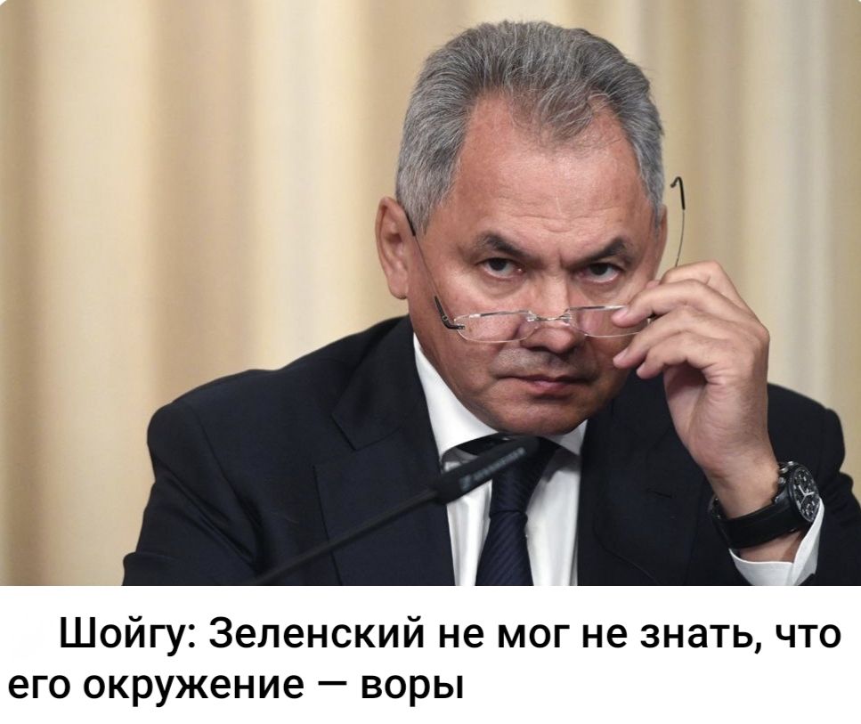 Шойгу: Зеленский не мог не знать, что его окружение — воры