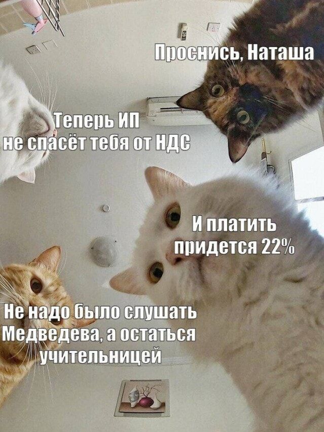 Проснись, Наташа. Теперь ИП не спасёт тебя от НДС, и платить придётся 22%. Не надо было слушать Медведева, а остаться учительницей.