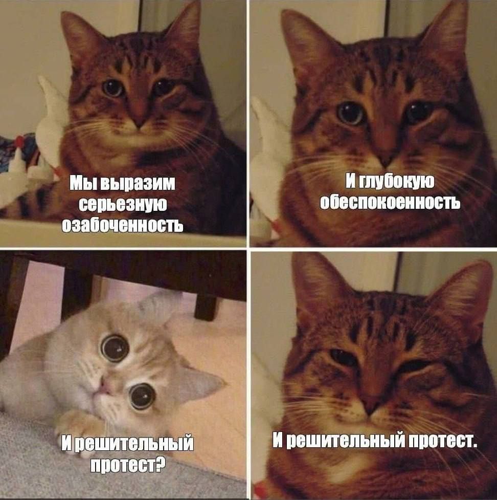 Мы выразим серьёзную озабоченность И глубокую обеспокоенность И решительный протест? И решительный протест.