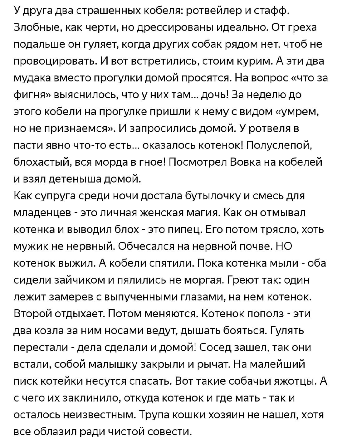 У друга два страшенных кобеля: ротвейлер и стафф. Злобные, как черти, но дрессированы идеально. От греха подальше он трезвым, когда других собак рядом нет, чтобы не провоцировать. И вот встретились, стоим курим. А эти два мудака вместо прогулки домой просят. На вопрос «что за фигня» выяснилось, что у них там... дочка. За неделю до этого кобели на прогулке пнули к нему с видом «умерем, но не признаемся».