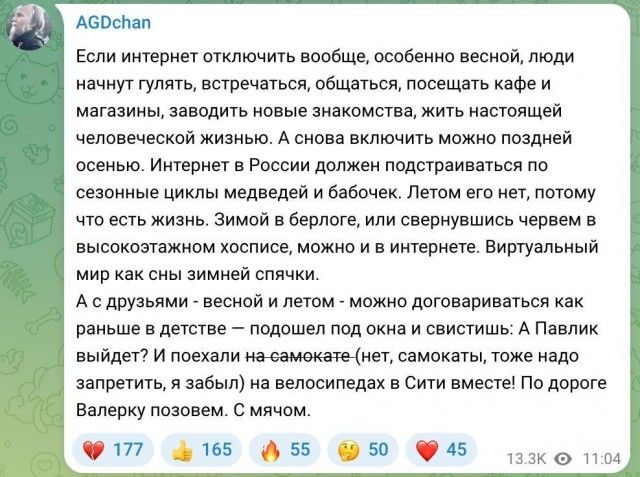 Если интернет отключить вообще, особенно весной, люди начнут гулять, встречаться, общаться, посещать кафе и магазины, заводить новые знакомства, жить настоящей человеческой жизнью. Интернет в России должен подстраиваться по сезонным циклам медведей и бабочек. Летом его нет, потому что есть жизнь. Виртуальный мир как сны зимней спячки.