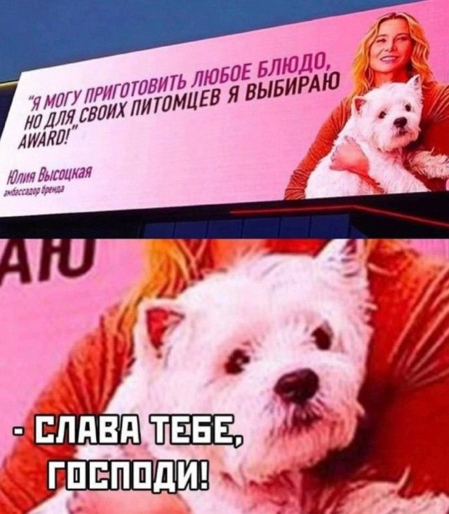 Я могу приготовить любое блюдо, но для своих питомцев я выбираю AWARD! Юлия Высоцкая амбассадор бренда. - Слава тебе, Господи!