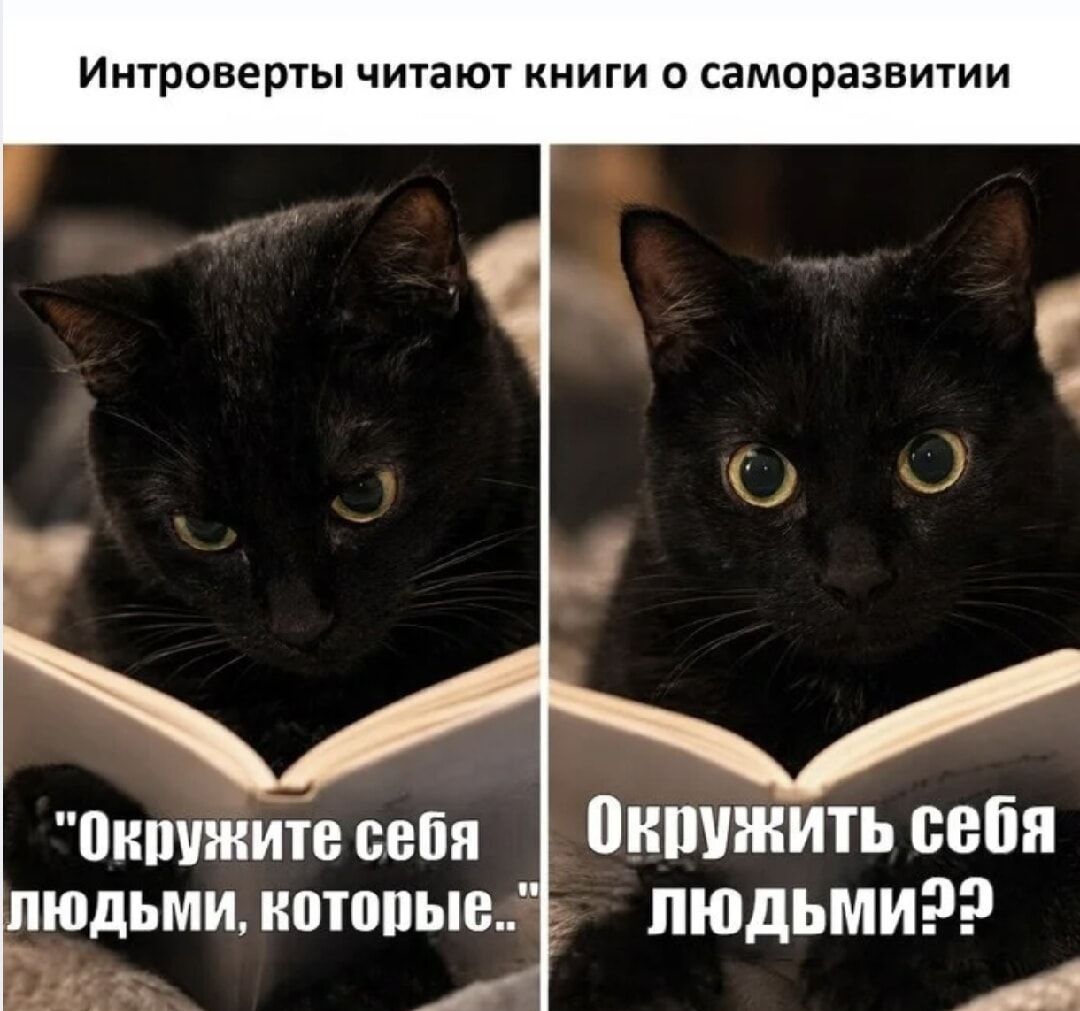 Интроверты читают книги о саморазвитии
