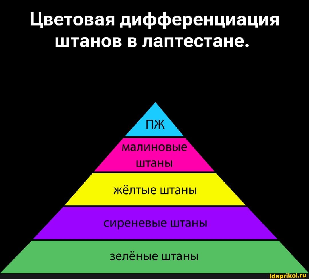 Цветовая дифференциация штанов в лаптестане. ПЖ малиновые штаны жёлтые штаны сиреневые штаны зелёные штаны