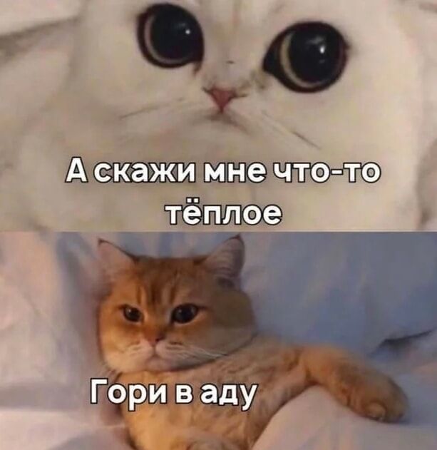 А скажи мне что-то тёплое Гори в аду