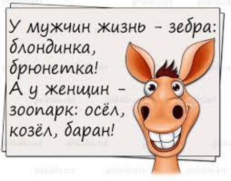 У мужчин жизни зебра бАондинка брюнетка А у женщин зоопарк осёА козе баран