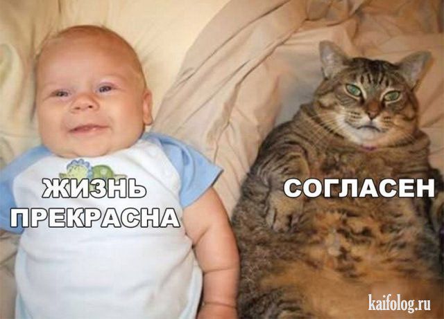 согпАсЕн гы