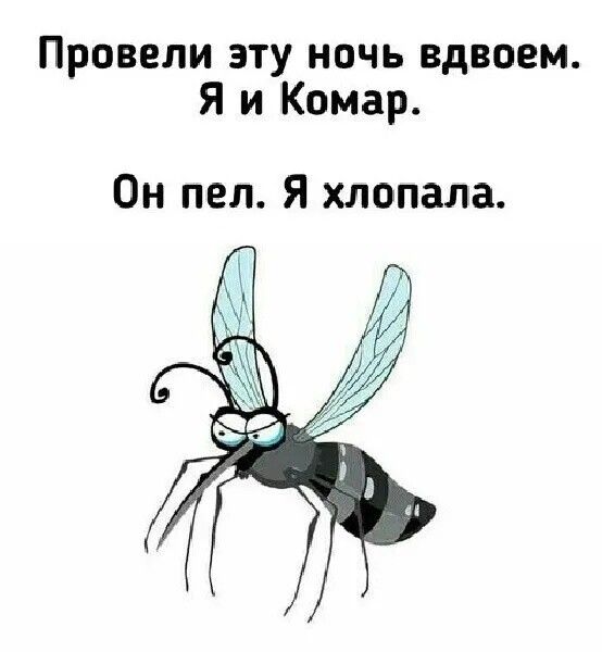 Провели эту ночь вдвоем Я и Комар Он пел Я хлопала