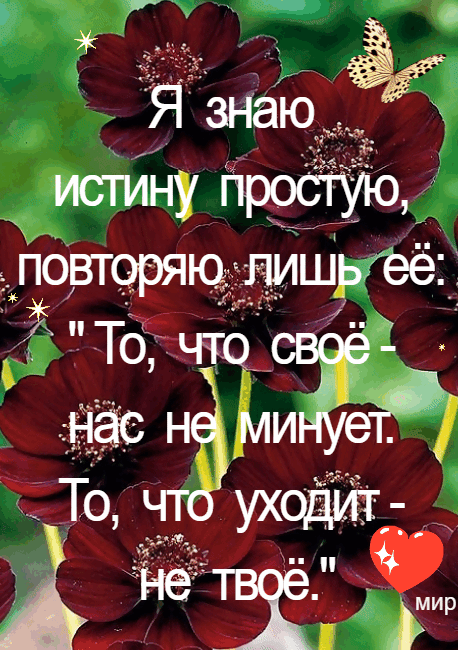 ё Я знаю истину простуъо повторяю лишьее ЁТо с _ Ъ ег то