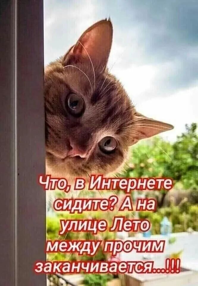 г
