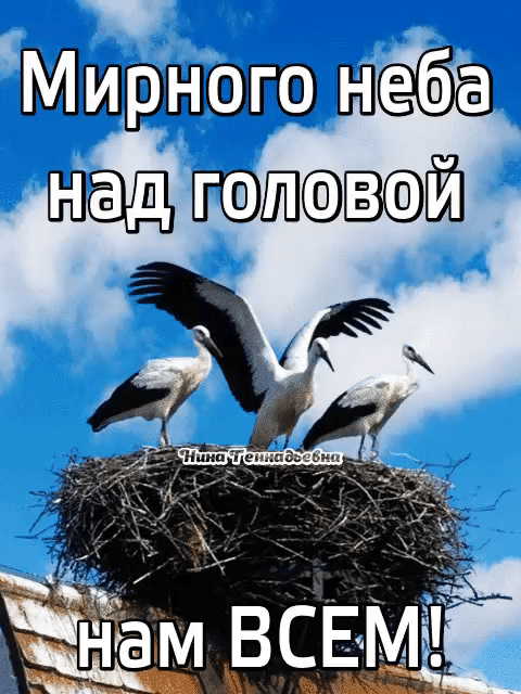 паев пац ой