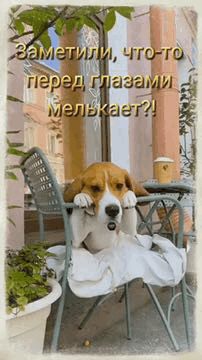 ЧТОЕТО азащи Ё ег М