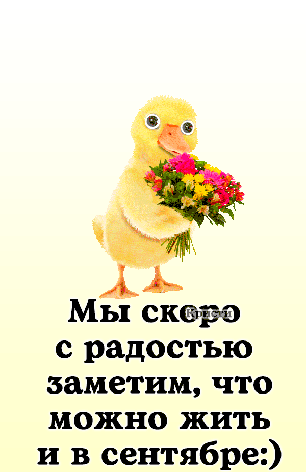 Мы скоро с радостью заметим что можно жить и в сентябре