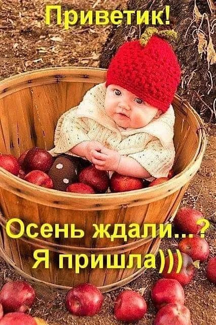 Э жда гнь _1 т дщоппщт Цч
