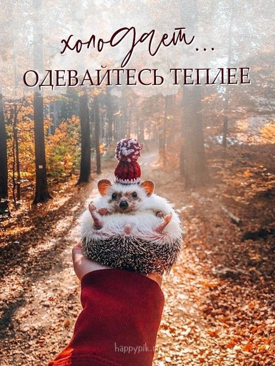 ОДЕВАЙТЕСЬ ТЕПАЕЕ