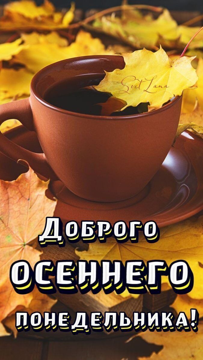 гоТілнхндго ПОНЕДЕПДНИЁА