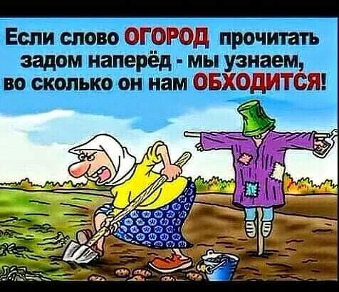 Если слово С задом напе ё