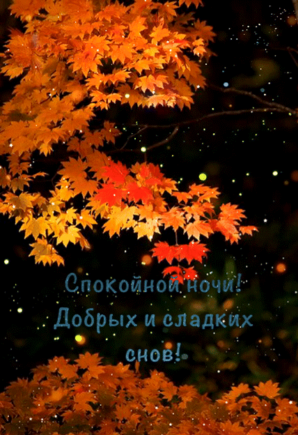 _Добрёдях и владкйх _ _аиовЬ