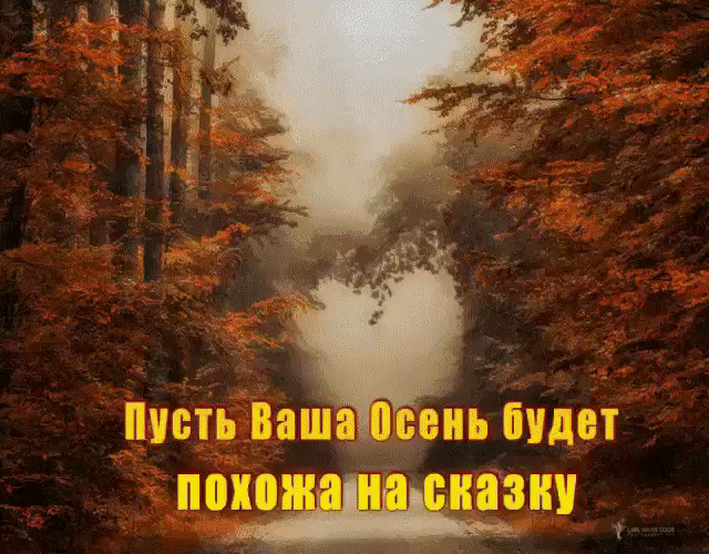 поии