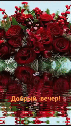 і дцфьдй вечер Ё ыз 1315 _