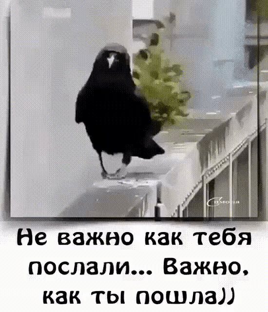 Не Важно как тебя послали Важно как ты пошла