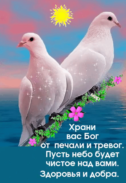 д3от печени и тревог Пусть небо будет чистое над вами Здоровья и добро