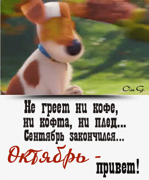 чд Не греет ни кофе ни кофта ни мед Сентябрь закончился Вривеш