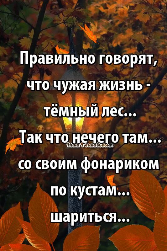 Правиіпьно говорят что чужая жизнь тёпёншйлес Так чт н_о там со своим фонариком по кустам шариться