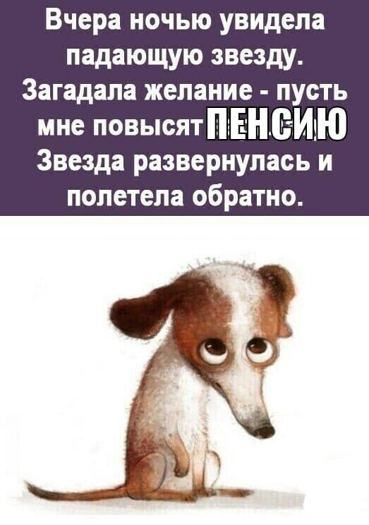 Вчера ночью увидела падающую звезду Загадала желание пусть мне повысятПэЕНЕИЕЮ Звезда развернулась и полетела обратно